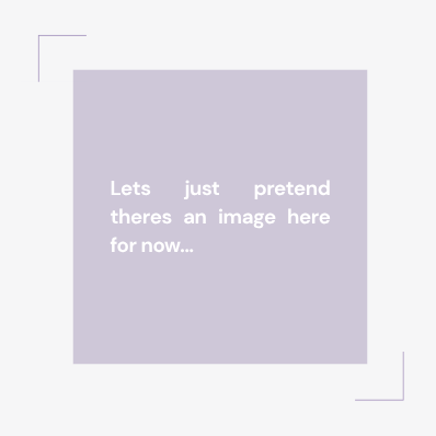 Placeholder image with text 'let's just pretend there is an image here now..'